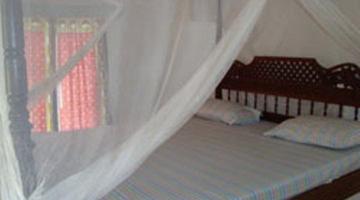 Dolly House