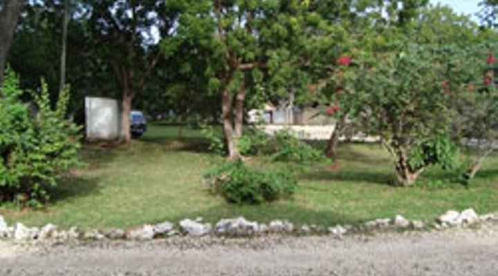 Dolly House