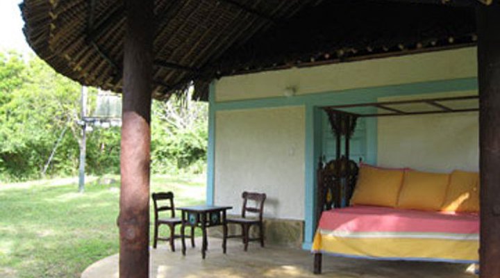 Dolly House