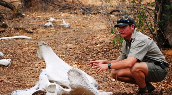 Forever African Safaris