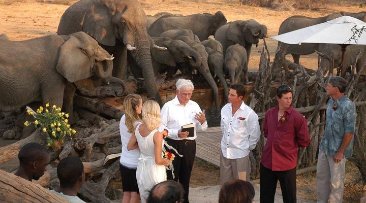 Forever African Safaris