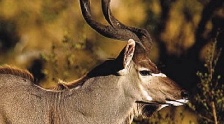 Sweethome Mountain Lodge