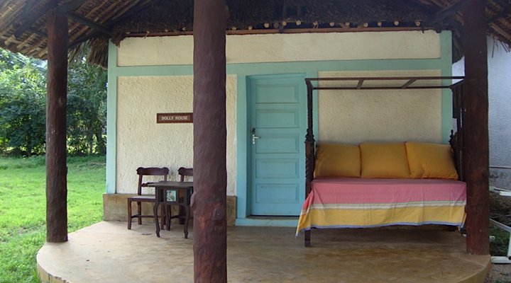 Dolly House
