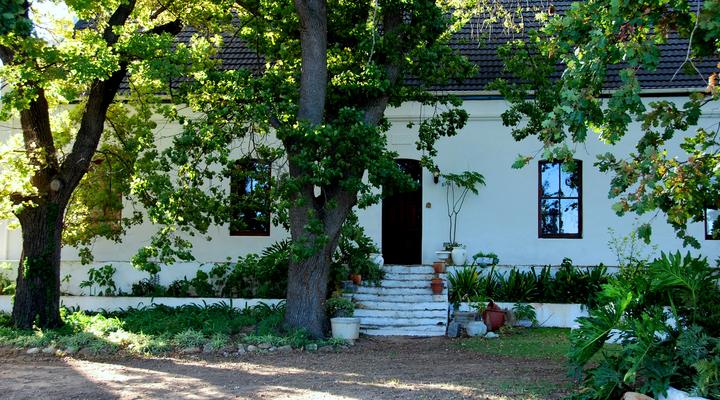 Audrey’s Vineyard Cottage & Homestead