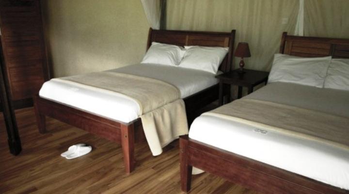 Mahogany Springs Lodge