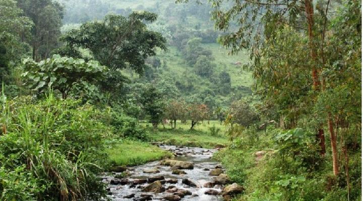 Mahogany Springs Lodge