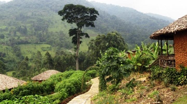 Mahogany Springs Lodge