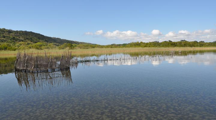 Kosi Bay Lodge Private Chalets