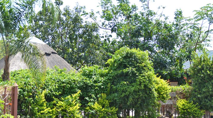 Country Lodge - Mongu