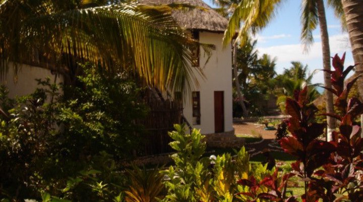 Le Jardin De La Mangrove