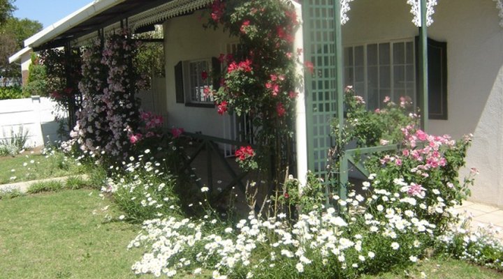 Green Door Guest Cottage - Loop Street