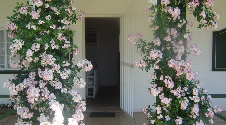 Green Door Guest Cottage - Loop Street
