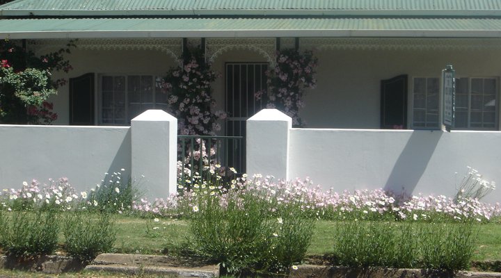 Green Door Guest Cottage - Loop Street
