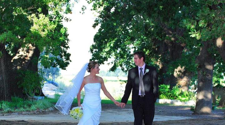 Audrey’s Vineyard Cottage & Homestead