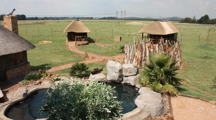 Ikhamanzi Bed and Breakfast