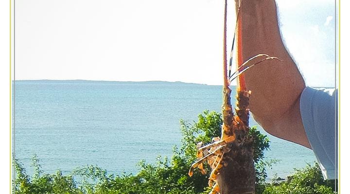 Island View Vilanculos