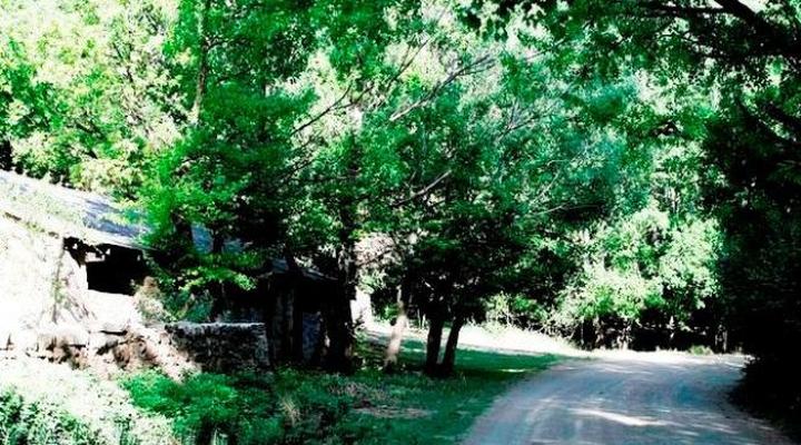 Scott of Africa - Swallow Krantz