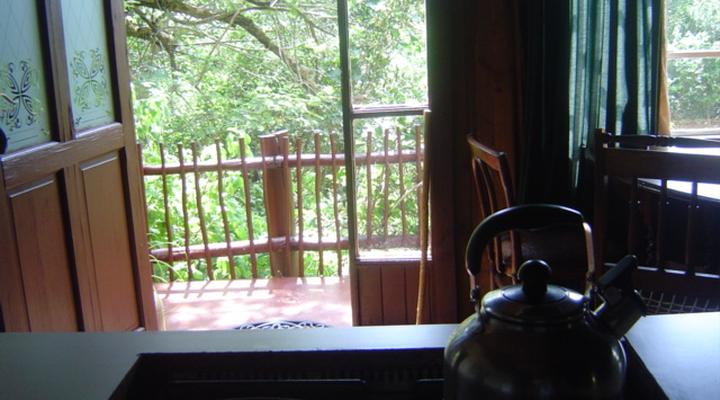 Forest Cottage self catering