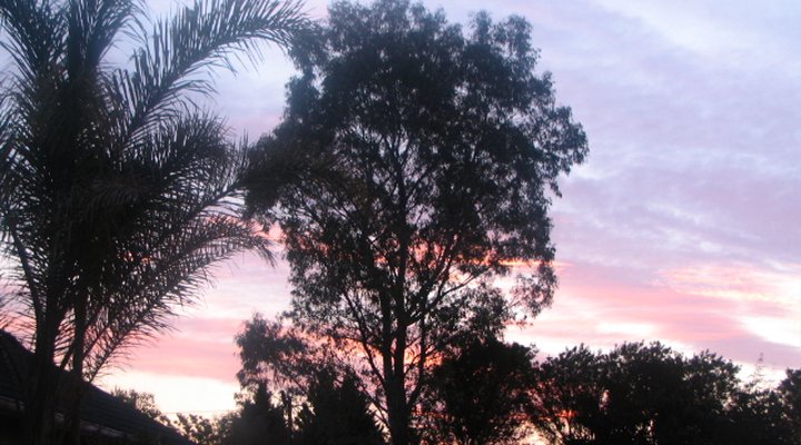 The Oasis B&B