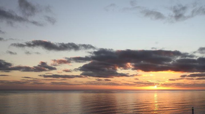 Guinea Fowl House B & B