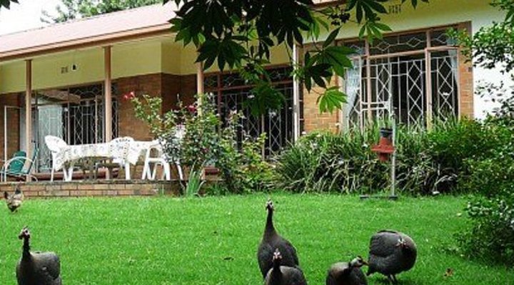 Guinea Fowl Lodge