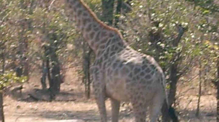 Lubamutu VIP Guesthouse