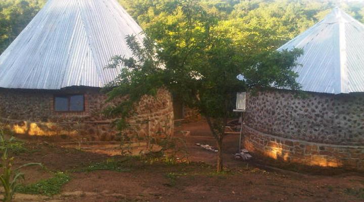 Asante Animal Farm Getaway