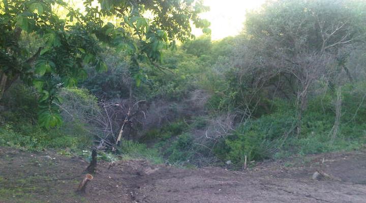 Asante Animal Farm Getaway