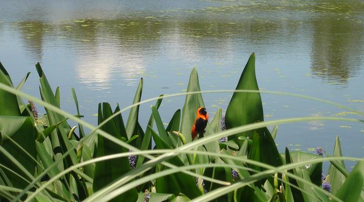 Kopano Nokeng Country Lodge