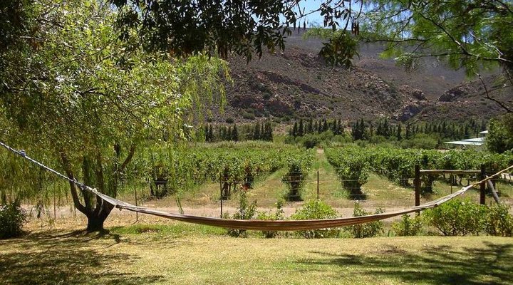 Aviator Vineyard Farmhouse
