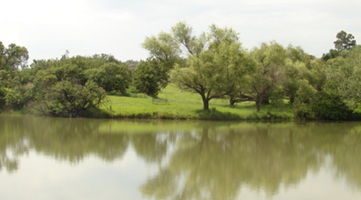 Platberg Backpackers