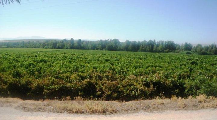 Voorsorg Guest House & Cottages