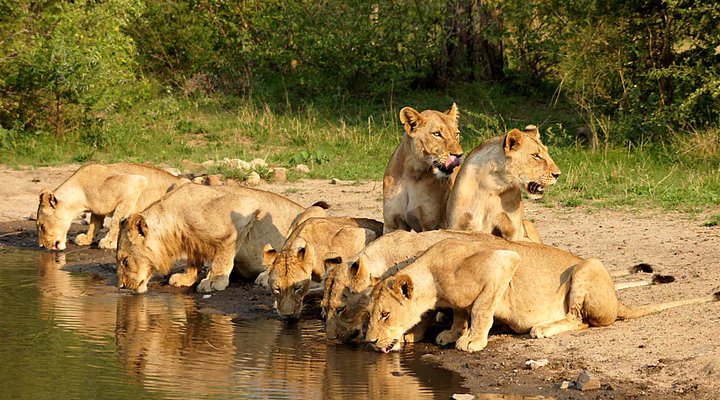 Leopard's View Game Lodge