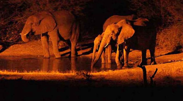 Leopard's View Game Lodge