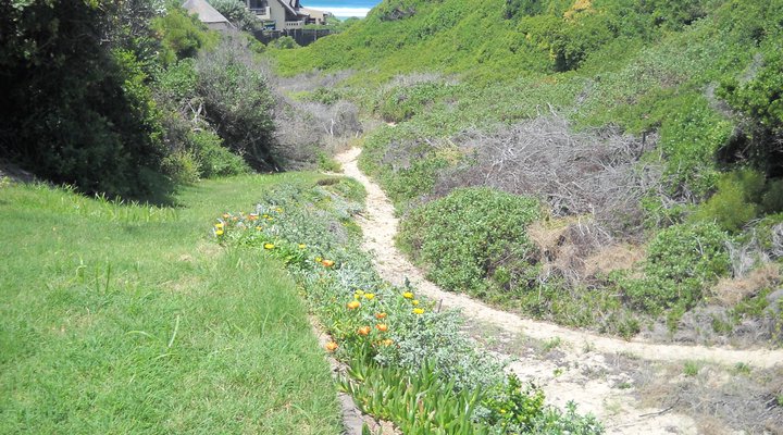 Nautilus Beach House