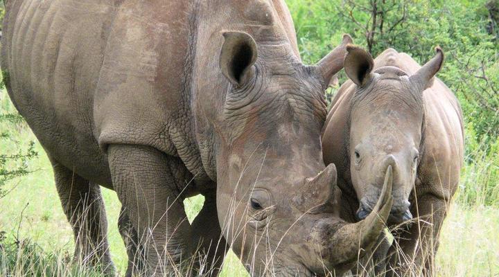 GocheGanas Nature Reserve & Wellness Village