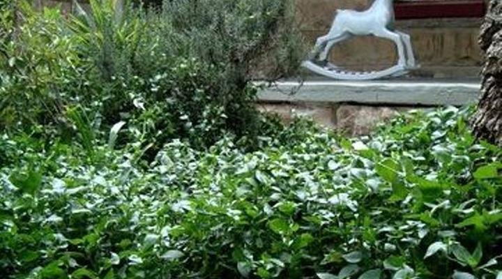 Living Life Station House