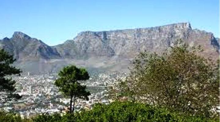 Palms Garden Cottage