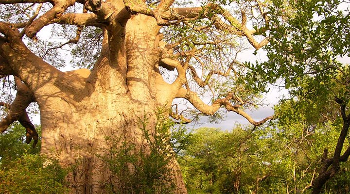 Blouberg Nature Reserve