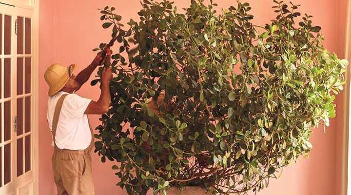 Belmond Hotel das Cataratas