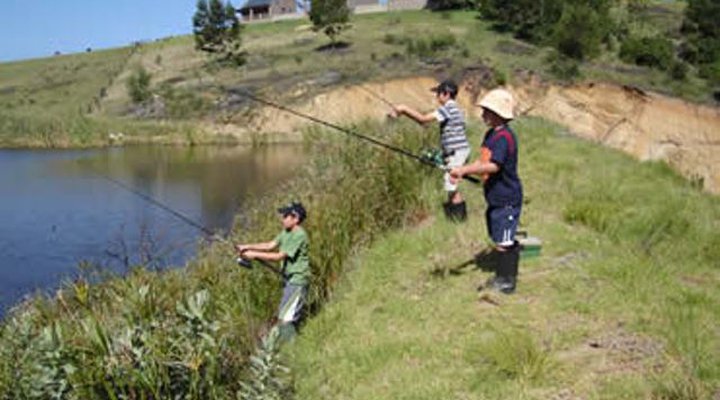 Jonqua Farm Cottages