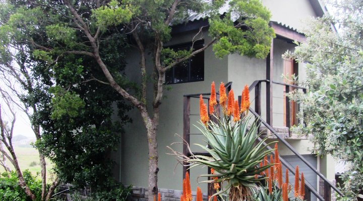 Aloe Cottage