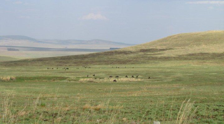 Moreson Ranch