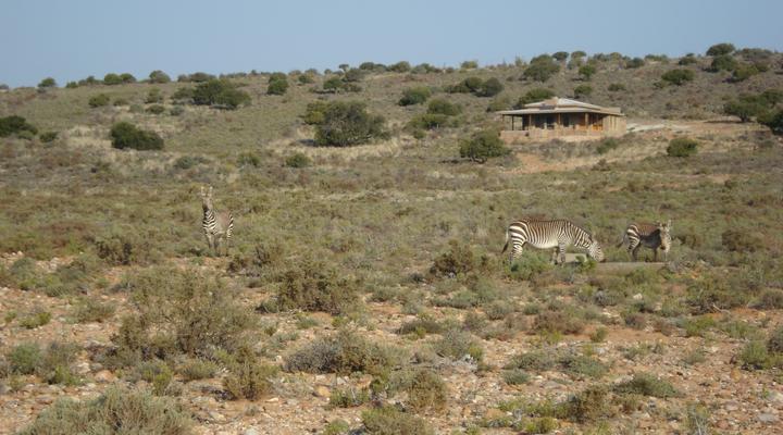 Bontebok Cottage