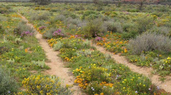 Waterkloof Guest Farm