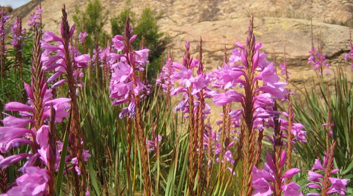 Crystal Mountain Retreat