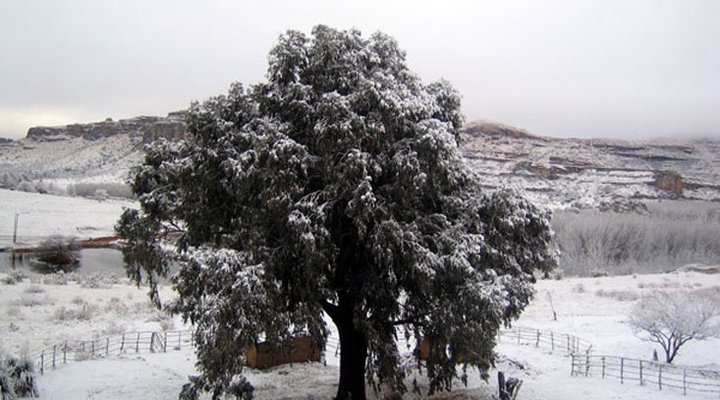 Crystal Mountain Retreat