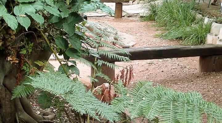 Bietjie Berg Guest Farm