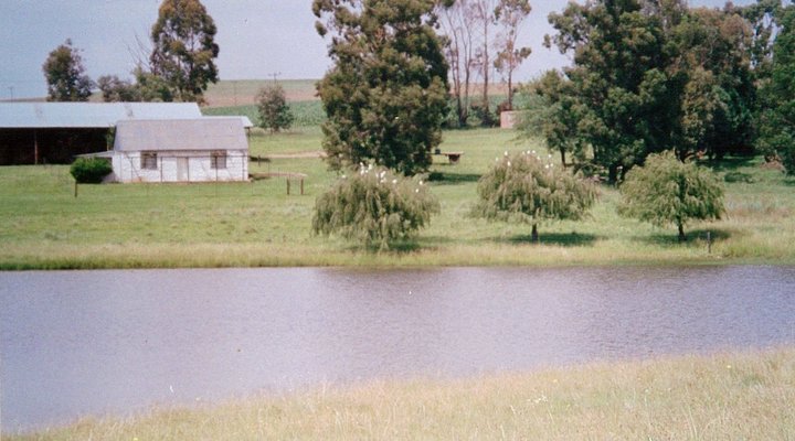 Driefontein