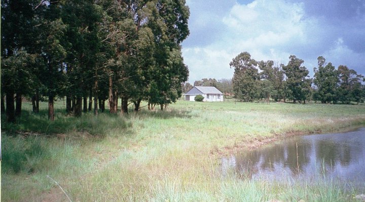 Driefontein